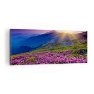 Vászonkép - … És körülötte hegyi fenyő és gyógynövények illata - 120x50 cm