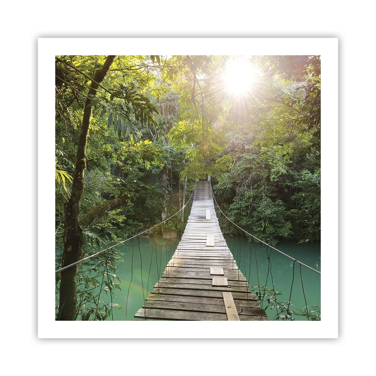 Poszter - Az azúrkék vízen át az azúrkék erdőbe - 60x60 cm