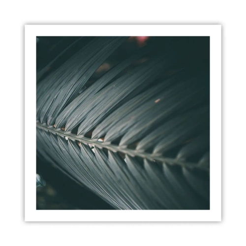 Poszter - A természet pontossága - 60x60 cm