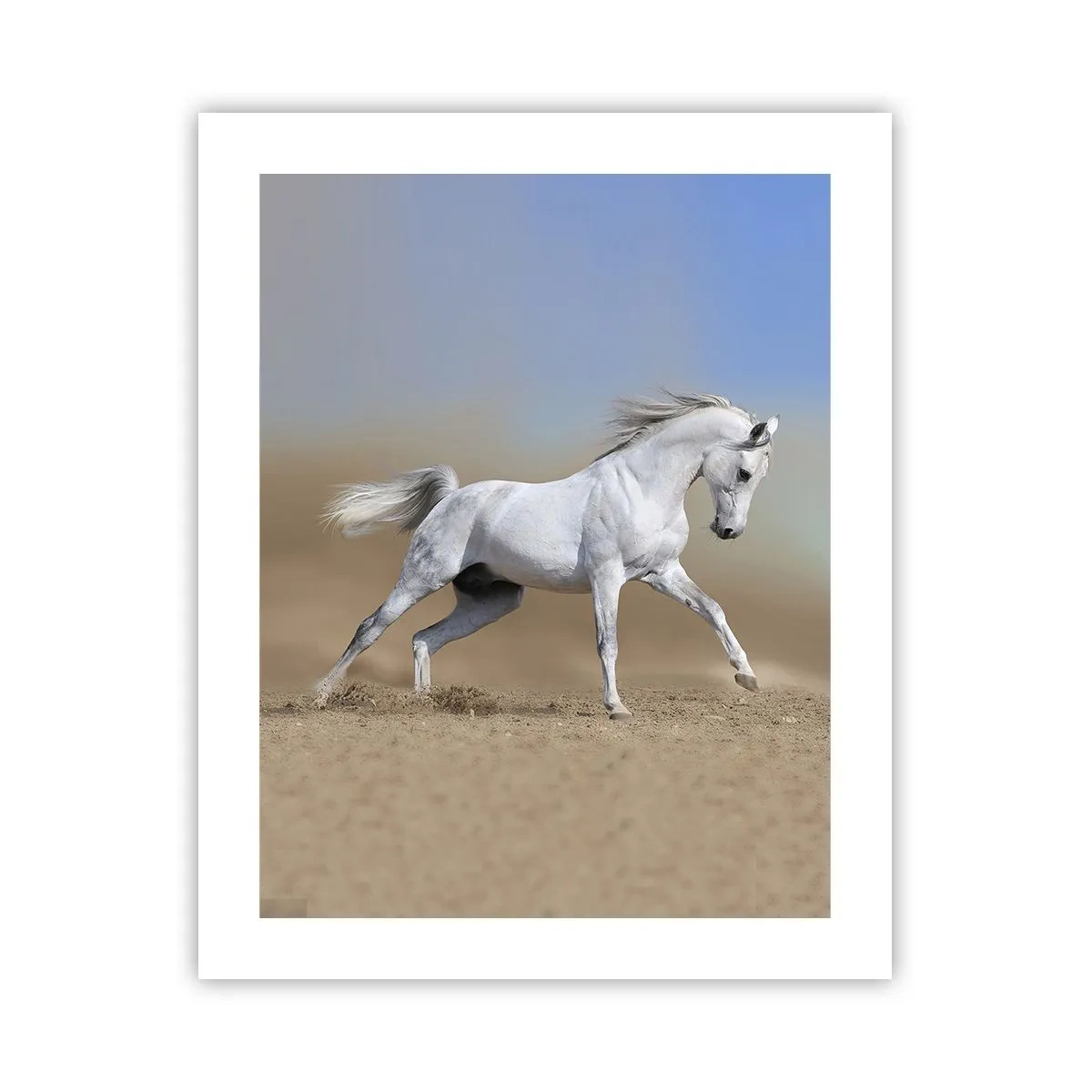 Poszter - A legszebb arab tündérmese - 40x50 cm