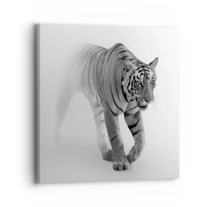 Vászonkép - Elrejtőzik a ködben - 30x30 cm