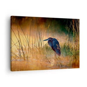 Vászonkép - Egy gém a vizes élőhelyeken naplementekor a magas fűfélék között - 70x50cm - Hagyjatok békén ezekkel a fotókkal - Modern fali dekoráció nappalihoz és hálószobához ARTTOR