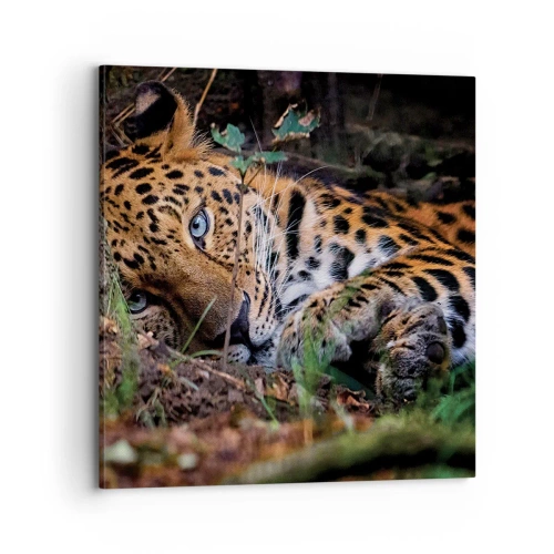 Vászonkép - Bízz bennem - 70x70 cm