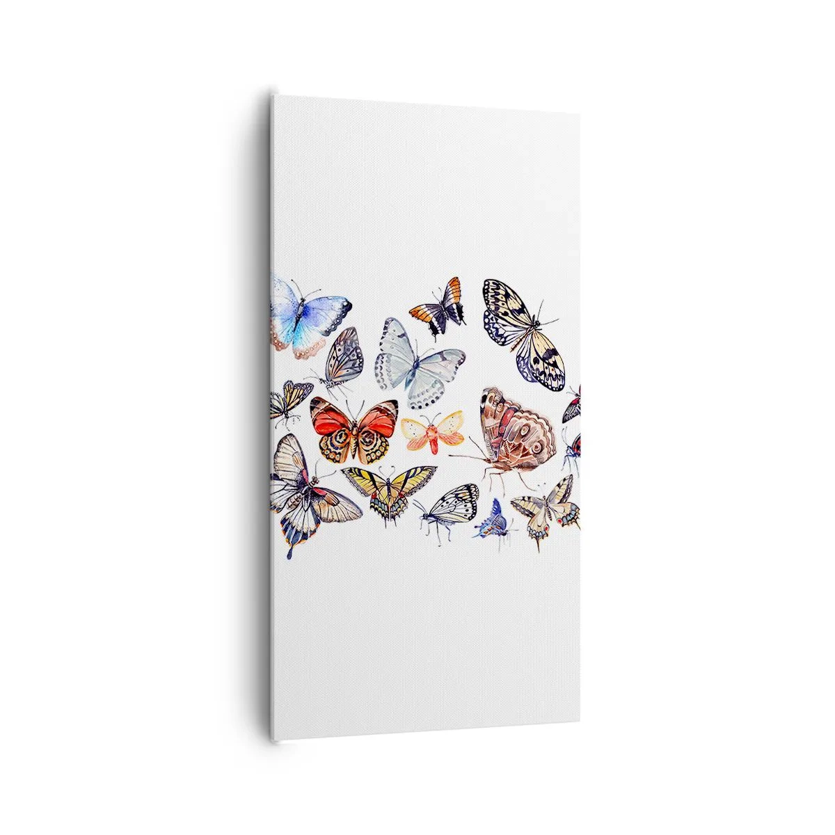 Vászonkép - Csipkés, színes raj - 65x120 cm