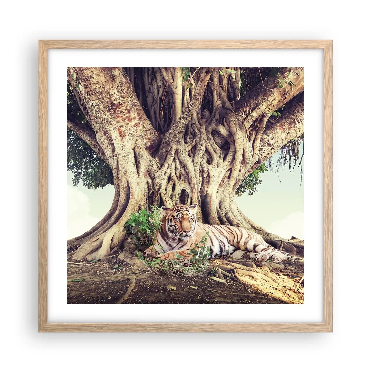 Poszter világos tölgy keretben - Kilátás a Genezis könyvéből - 50x50 cm