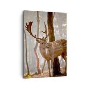 Vászonkép - A fiatalság fénye - 50x70 cm