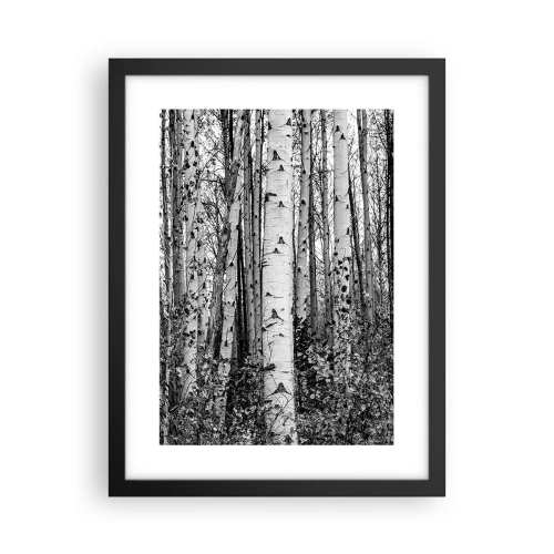 Poszter fehér keretben - Nyírfa oszlopsor - 30x40 cm