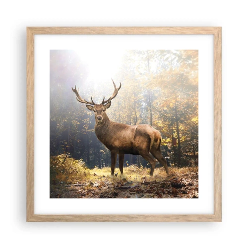 Poszter világos tölgy keretben - Teljes fenségben - 40x40 cm