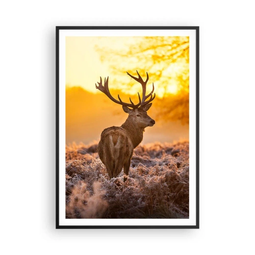 Poszter fehér keretben - Az őszi erdő királya - 70x100 cm