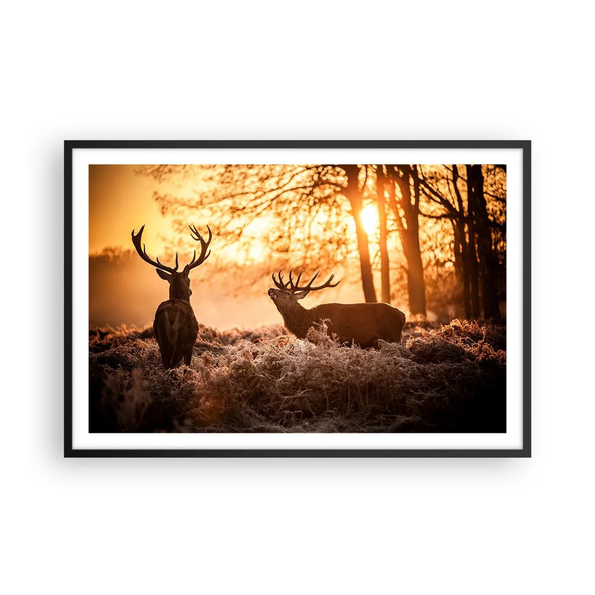 Poszter fehér keretben - Vadász álma - 91x61 cm