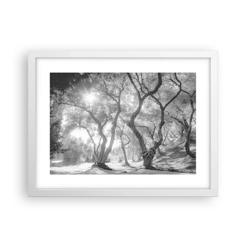 Poszter fekete keretben - Egy olajfaligetben - 40x30 cm