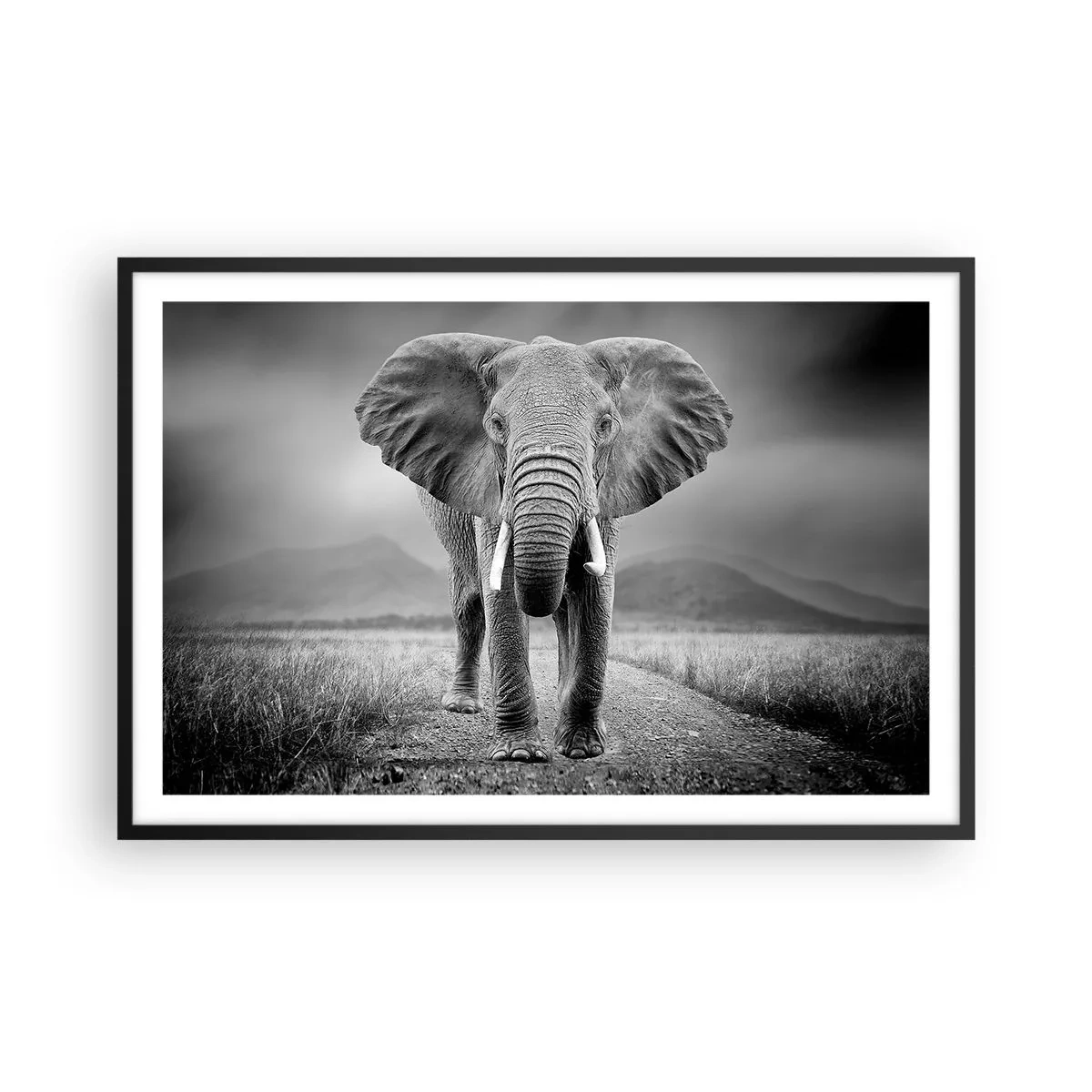 Poszter fehér keretben - A házigazda üdvözli - 91x61 cm