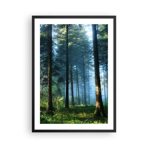 Poszter fehér keretben - Tűlevelű erdő a reggeli napsütésben és könnyű ködben - 50x70cm - Sugárzó reggel - Modern fali dekoráció nappalihoz és hálószobához ARTTOR