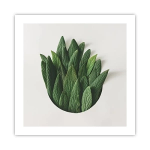 Poszter - Féktelen kíváncsiság - 50x50 cm