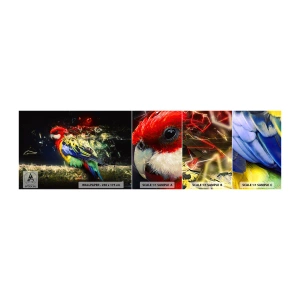 Fotótapéta Minta Standard Eco - A ragyogás hírnöke - Absztrakció, Papagáj, Madár - 100x30 cm