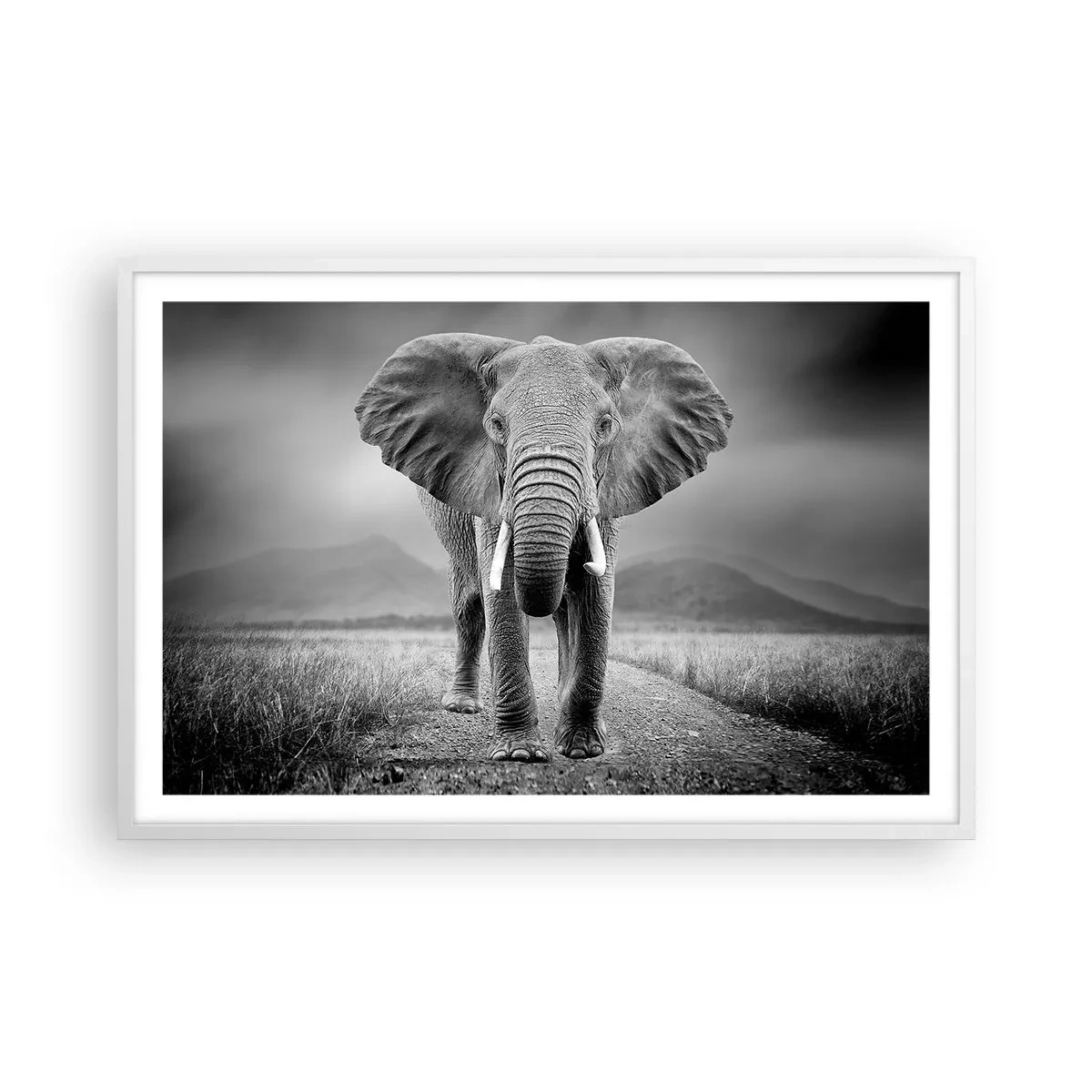 Poszter fekete keretben - A házigazda üdvözli - 91x61 cm