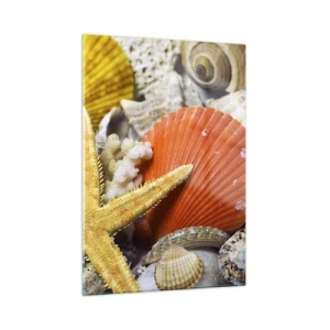 Üveg kép - Óceán kincsei - 50x70 cm