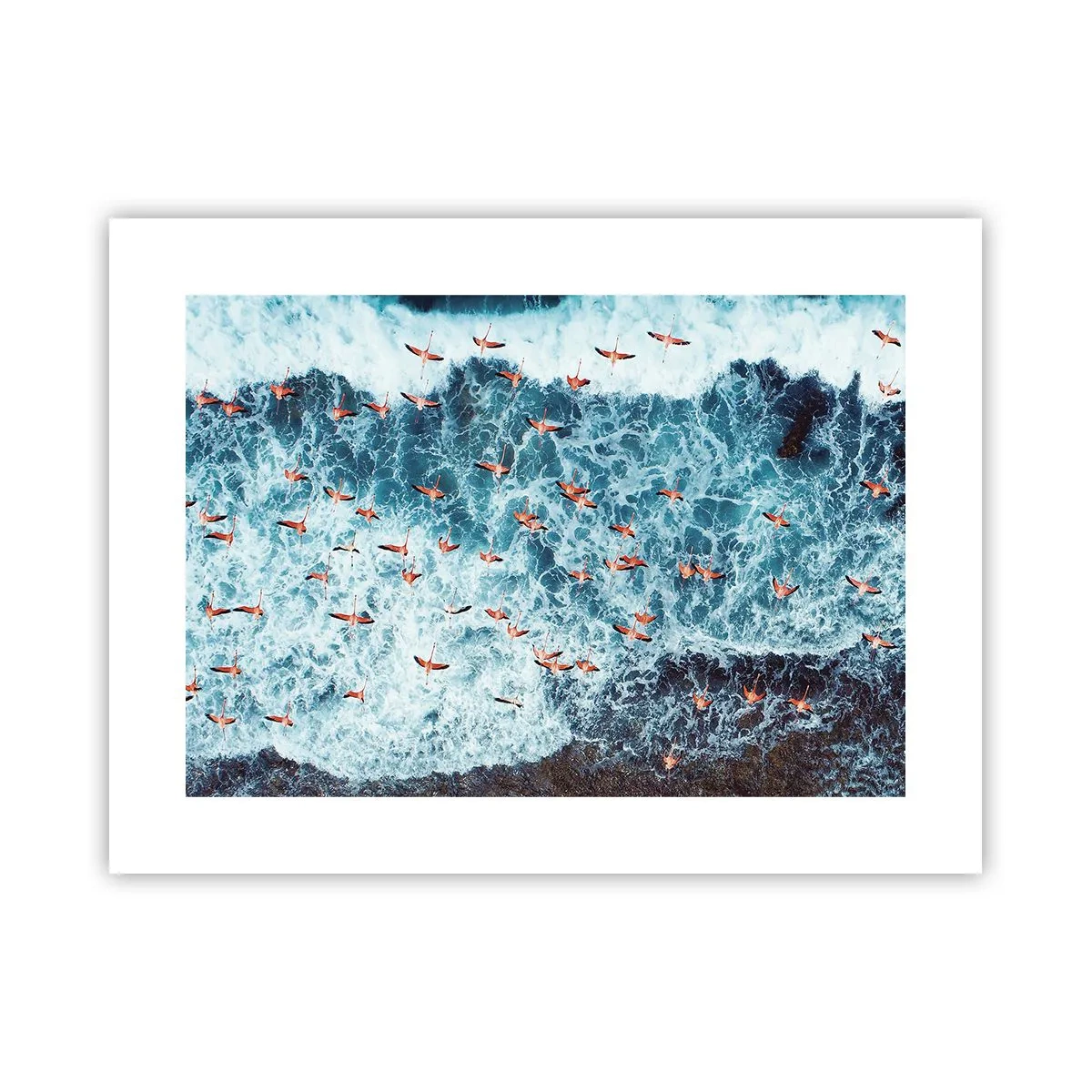 Poszter - A tengerparti parádé - 40x30 cm