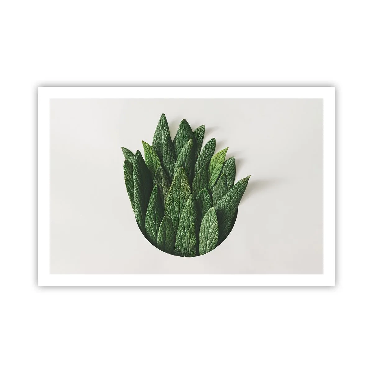 Poszter - Féktelen kíváncsiság - 91x61 cm