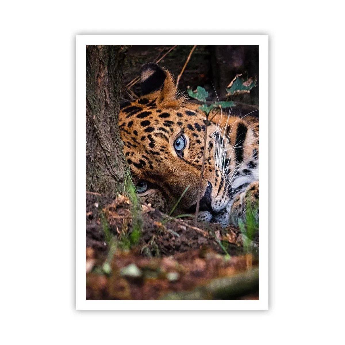 Poszter - Bízz bennem - 70x100 cm