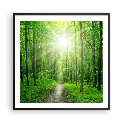 Poszter fehér keretben - A zöld katedrális - 60x60 cm