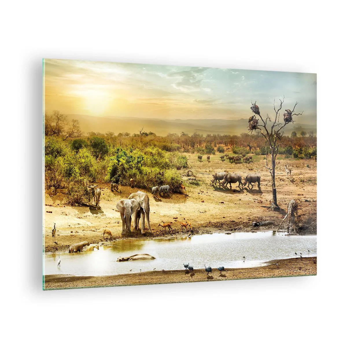 Üveg kép - Elefántok és állatok egy itatóhelyen, afrikai táj hátterében - 70x50cm - „Z Edenu zaś wypływała rzeka…" - Modern fali dekoráció nappalihoz és hálószobához ARTTOR
