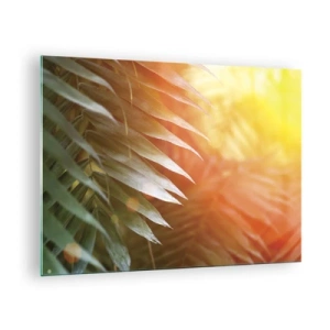 Üveg kép - Pálmalevelek a reggeli nap fényében trópusi környezetben - 70x50cm - Reggel a dzsungelben - Modern fali dekoráció nappalihoz és hálószobához ARTTOR