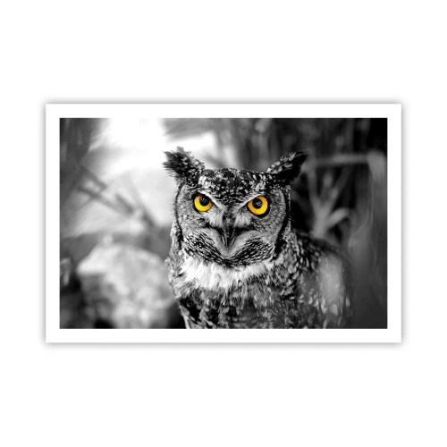 Poszter - Semmi sem fog elbújni - 91x61 cm