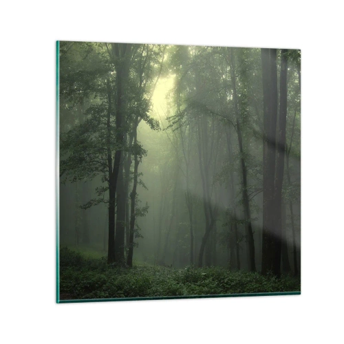 Üveg kép - Mielőtt felébred - 60x60 cm
