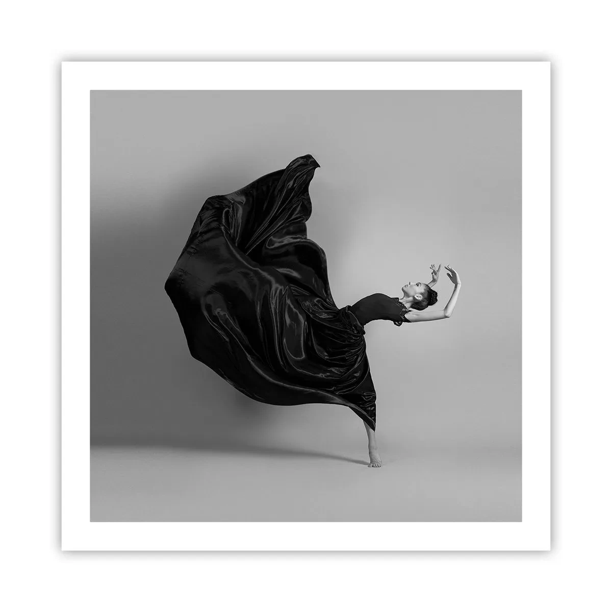 Poszter - Szárnyas zene - 60x60 cm