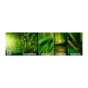 Fotótapéta Minta Standard Eco - Megismerni magát a zöldet - Növény, Bambusz, Dzsungel - 100x30 cm