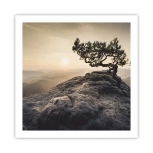 Poszter - Az élet mindig győz - 60x60 cm