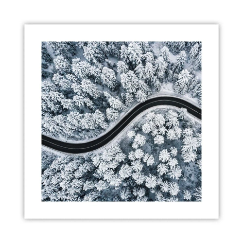 Poszter - A téli erdőn - 40x40 cm