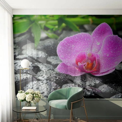 Fotótapéta Premium Sand - Mint egy nyitott szív - Virágok, Orchidea, Orchidea - 300x210 cm