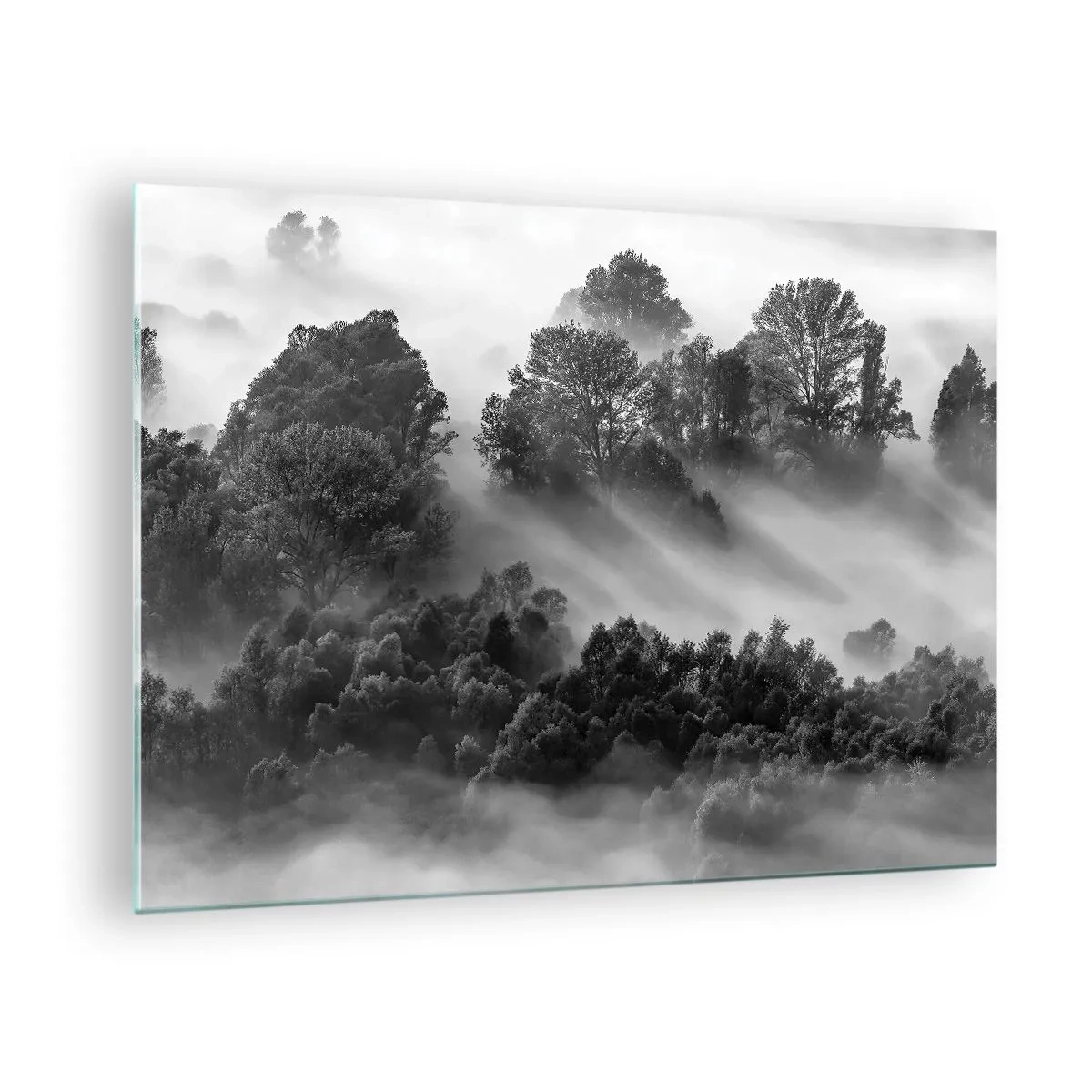 Üveg kép - Ködös erdő a napfényben, fekete-fehérben - 70x50cm -  Az álomból felkelő - Modern fali dekoráció nappalihoz és hálószobához ARTTOR
