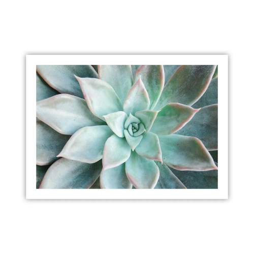 Poszter - A sivatag szíve - 70x50 cm