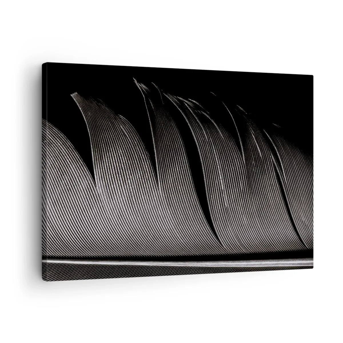 Vászonkép - Fekete-fehér toll textúra minimalista stílusban - 70x50cm - Toll - egy csodálatos konstrukció - Modern fali dekoráció nappalihoz és hálószobához ARTTOR