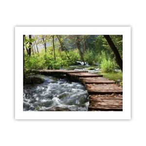 Poszter - A habzó zuhatag felett - 50x40 cm