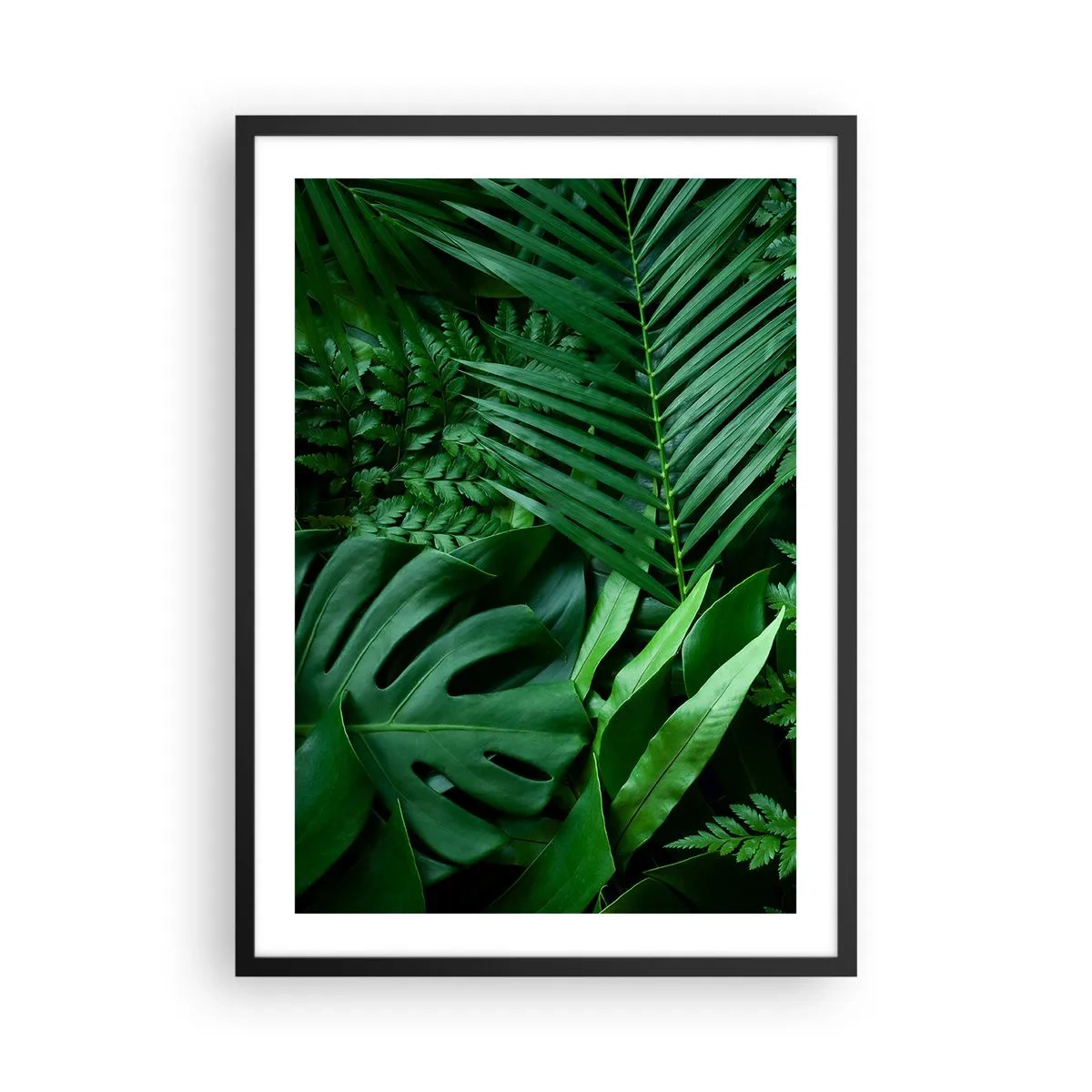 Poszter fehér keretben - A zöld páfrány és a pálmalevelek trópusi mintát hoznak létre - 50x70cm - Összebújva a zöldben - Modern fali dekoráció nappalihoz és hálószobához ARTTOR