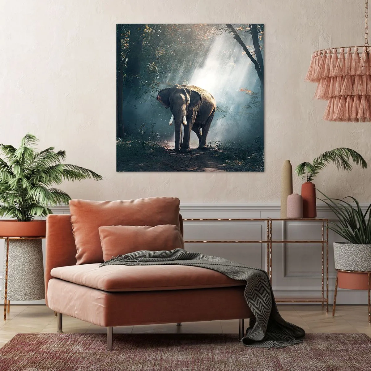 Vászonkép - Nyugodt séta - 70x70 cm