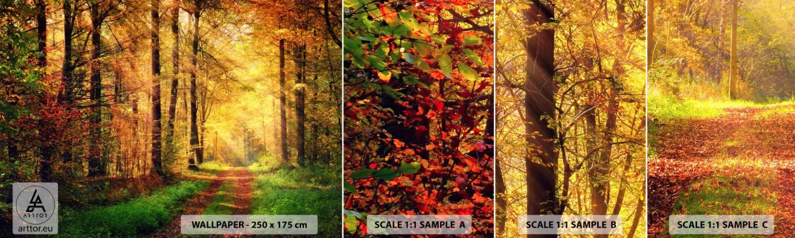 Fotótapéta Minta Standard Eco - Erdei, arany csend - Tájkép, Erdő, Erdei út - 100x30 cm