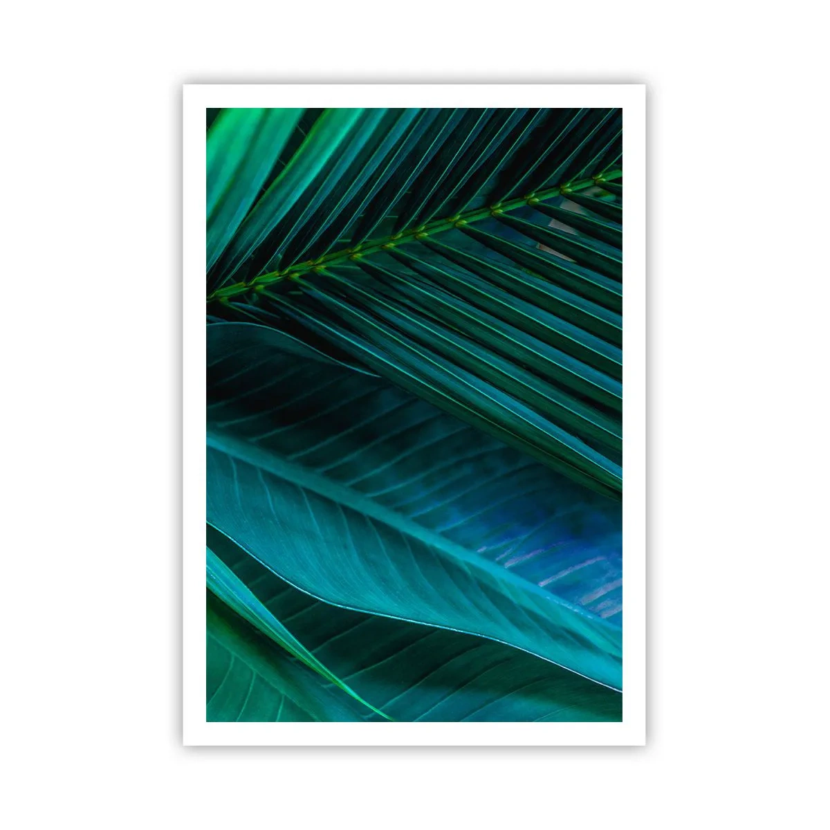 Poszter - A zöld anatómiája - 70x100 cm