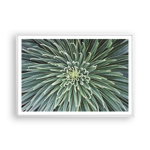 Poszter fekete keretben - Csillag születik - 100x70 cm