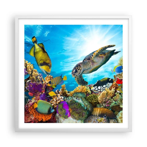 Poszter fekete keretben - Korall sétány - 60x60 cm