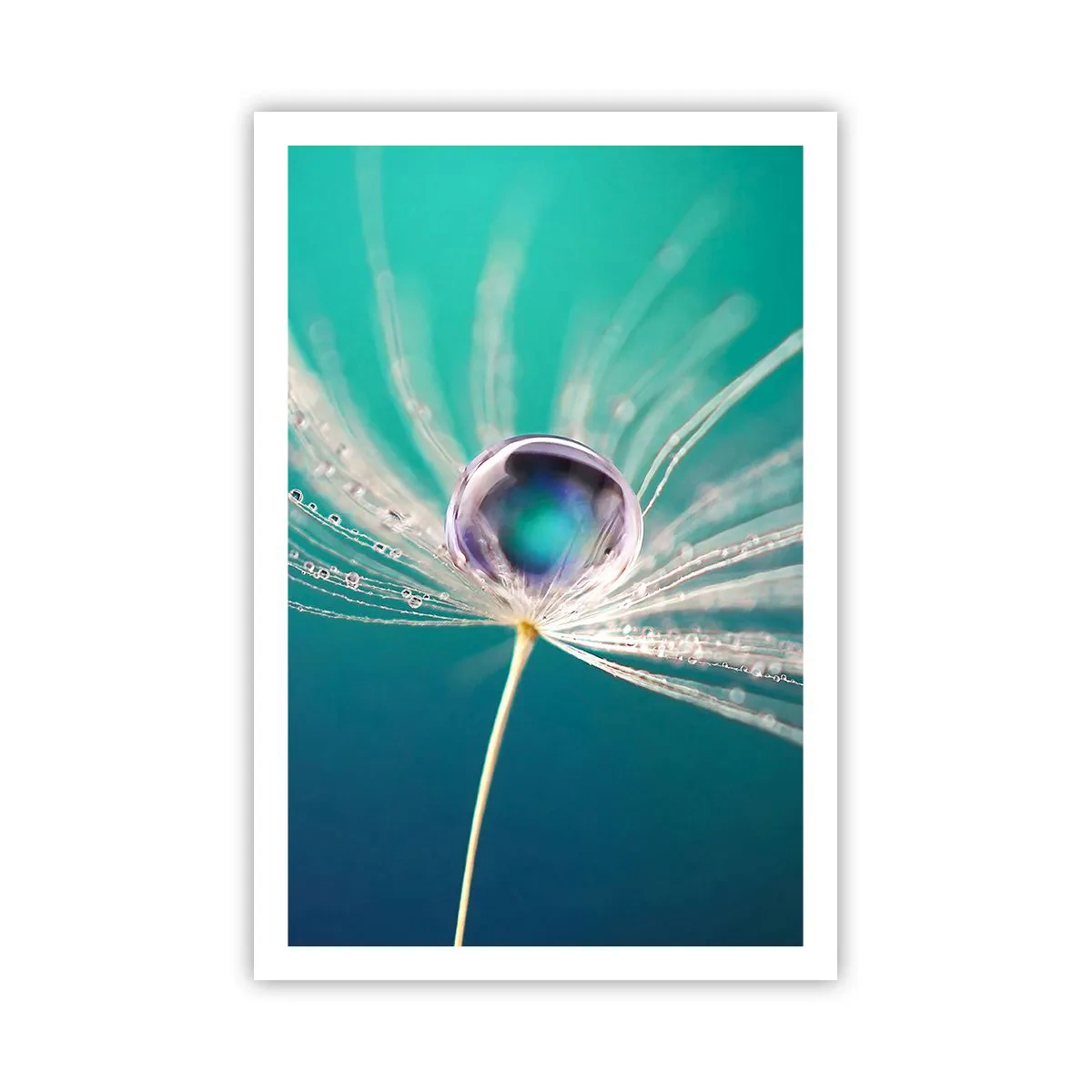 Poszter - Misztikus pillanat - 61x91 cm