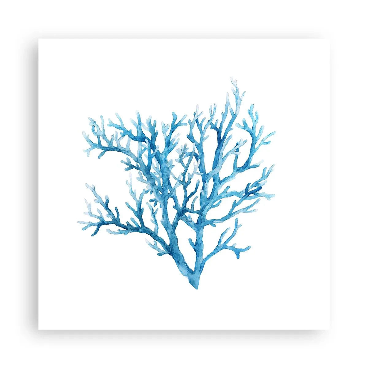 Poszter - Tengeri filigrán - 40x40 cm