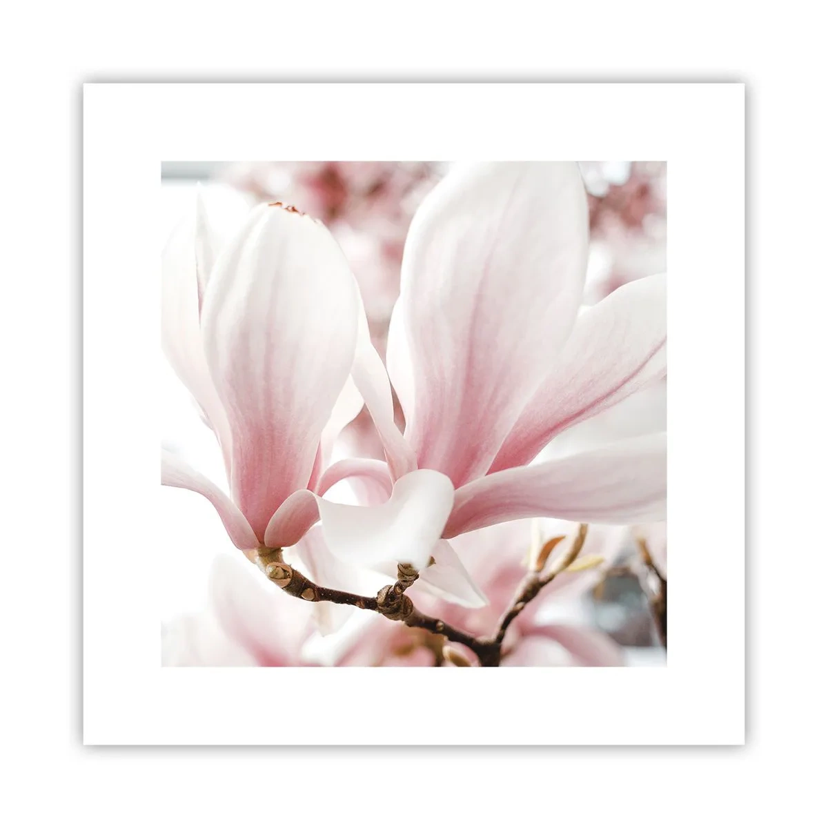 Poszter - Határtalan gyengédség - 30x30 cm