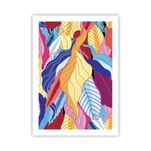 Poszter - Színes rendetlenség - 50x70 cm