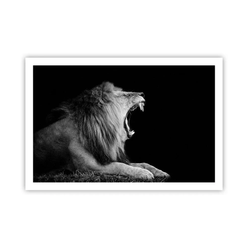 Poszter - Kétség nélkül - 91x61 cm