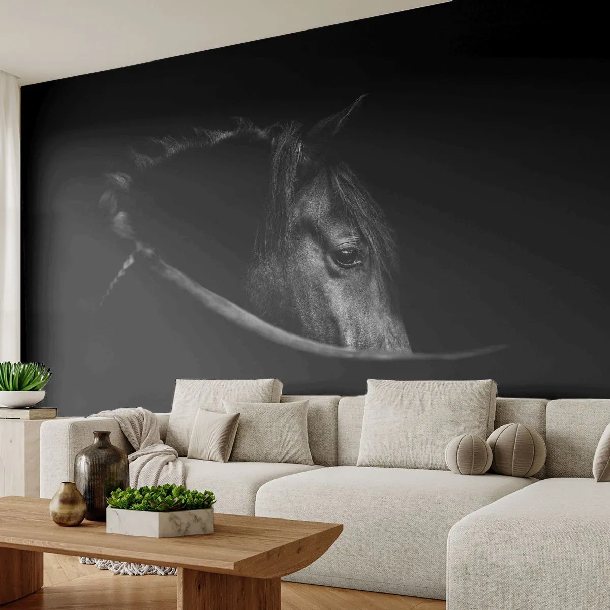 Fotótapéta Standard Eco - Fekete herceg - Ló, Állat, Művészeti - 350x256 cm